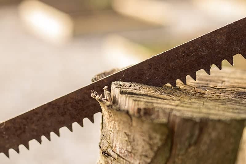 Best Cordless Reciprocating Saws